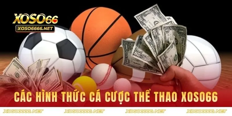 Các hình thức cá cược thể thao XOSO66 hiện có