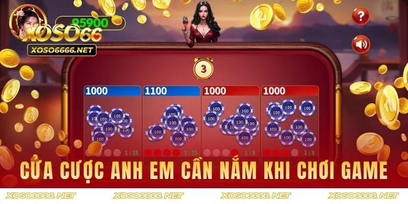 Các cửa cược anh em cần nắm khi chơi game