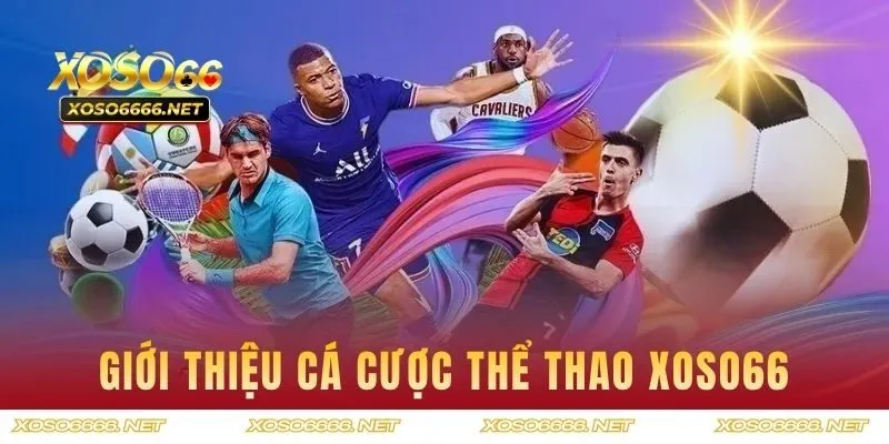 Giới thiệu cá cược thể thao XOSO66