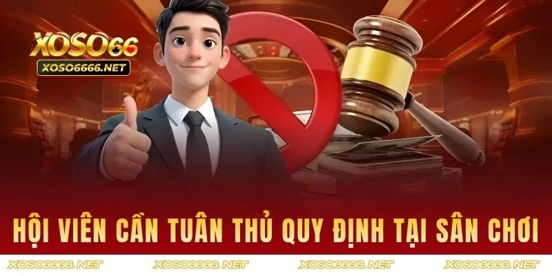 Hội viên cần tuân thủ nghiêm các quy định tại sân chơi