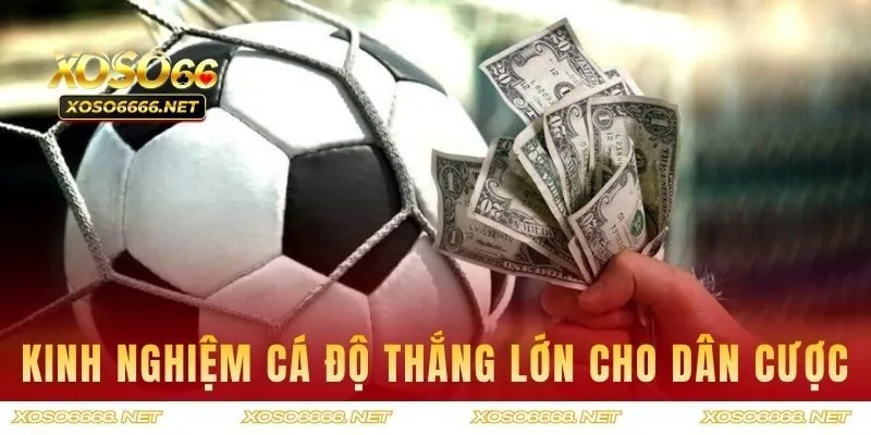 Kinh nghiệm cá độ thắng lớn cho dân cược